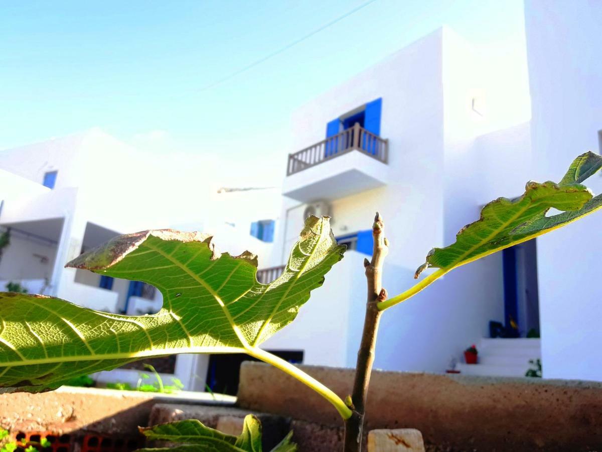 Larinaki'S Studios No3 Amorgos Exterior photo